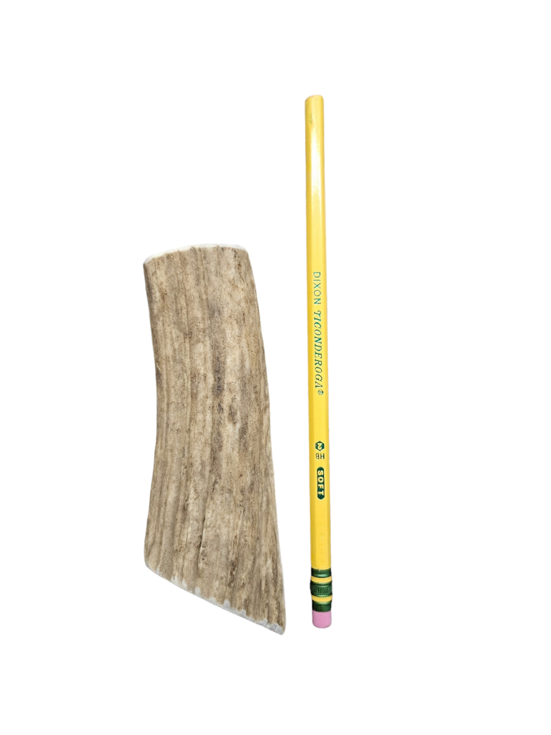 XS Split Antler Dog Chew - K9 Comfort Downtown 