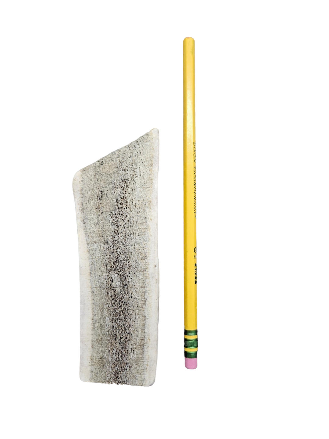 XS Split Antler Dog Chew - K9 Comfort Downtown 