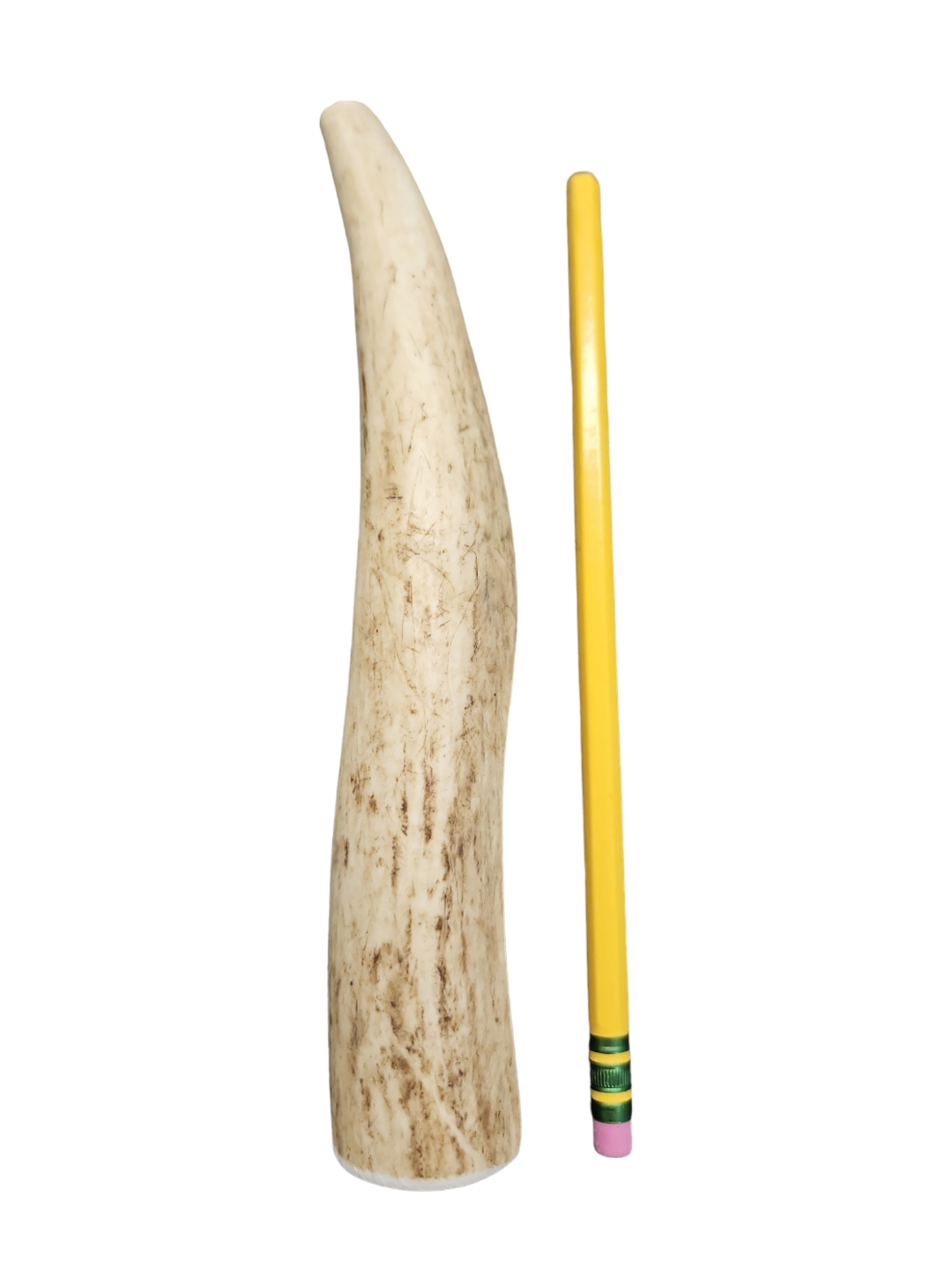 Small Partial Split Antler Dog Chew - K9 Comfort Downtown 