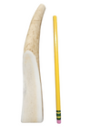 Small Partial Split Antler Dog Chew - K9 Comfort Downtown 