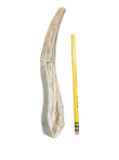 Medium Partial Split Antler Dog Chew - K9 Comfort Downtown 