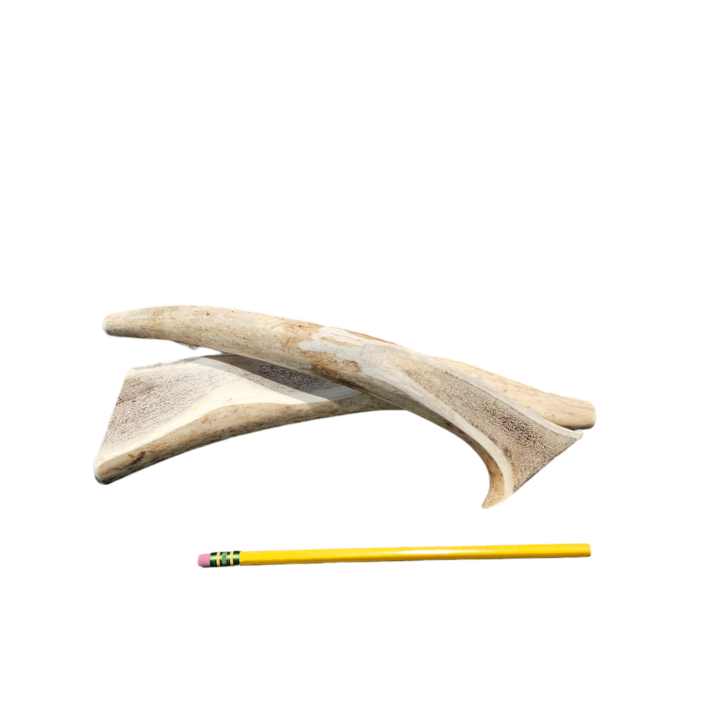 Medium Partial Split Antler Dog Chew - K9 Comfort Downtown 