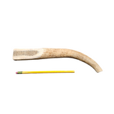 3XL Partial Split Antler Dog Chew - K9 Comfort Downtown 