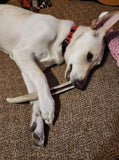 3XL Partial Split Antler Dog Chew - K9 Comfort Downtown 