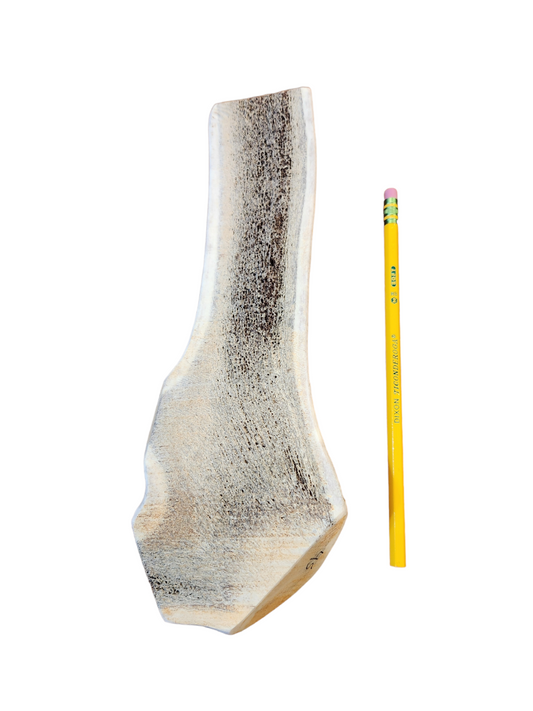 3XL Split Antler Dog Chew - K9 Comfort Downtown 