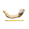 4XL Whole Antler Dog Chew - K9 Comfort Downtown 