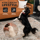 Hip & Joint Health - 2 PACK! - K9 Comfort Downtown 