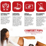Hip & Joint Health Supplement - K9 Comfort Downtown 
