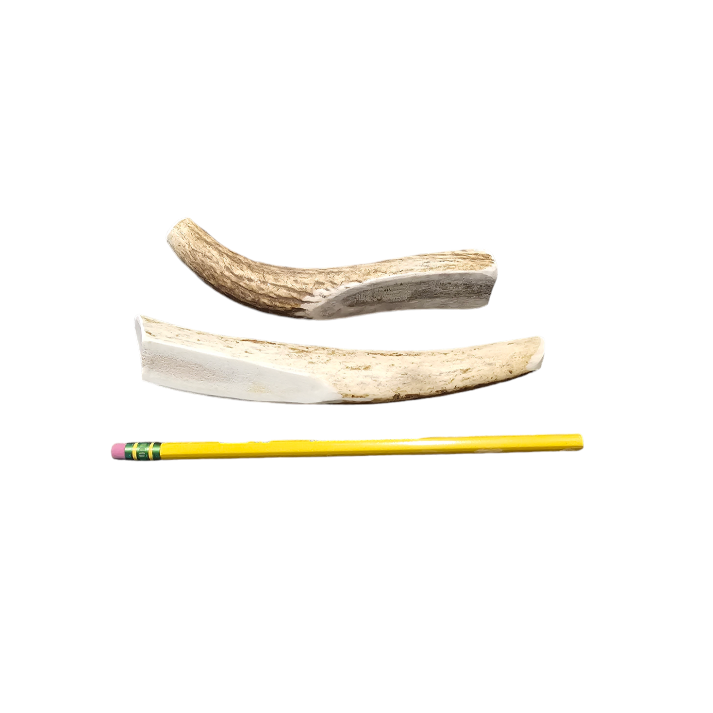 XS Partial Split Antler Dog Chew - K9 Comfort Downtown 