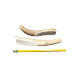 XS Partial Split Antler Dog Chew - K9 Comfort Downtown 