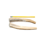 XS Partial Split Antler Dog Chew - K9 Comfort Downtown 