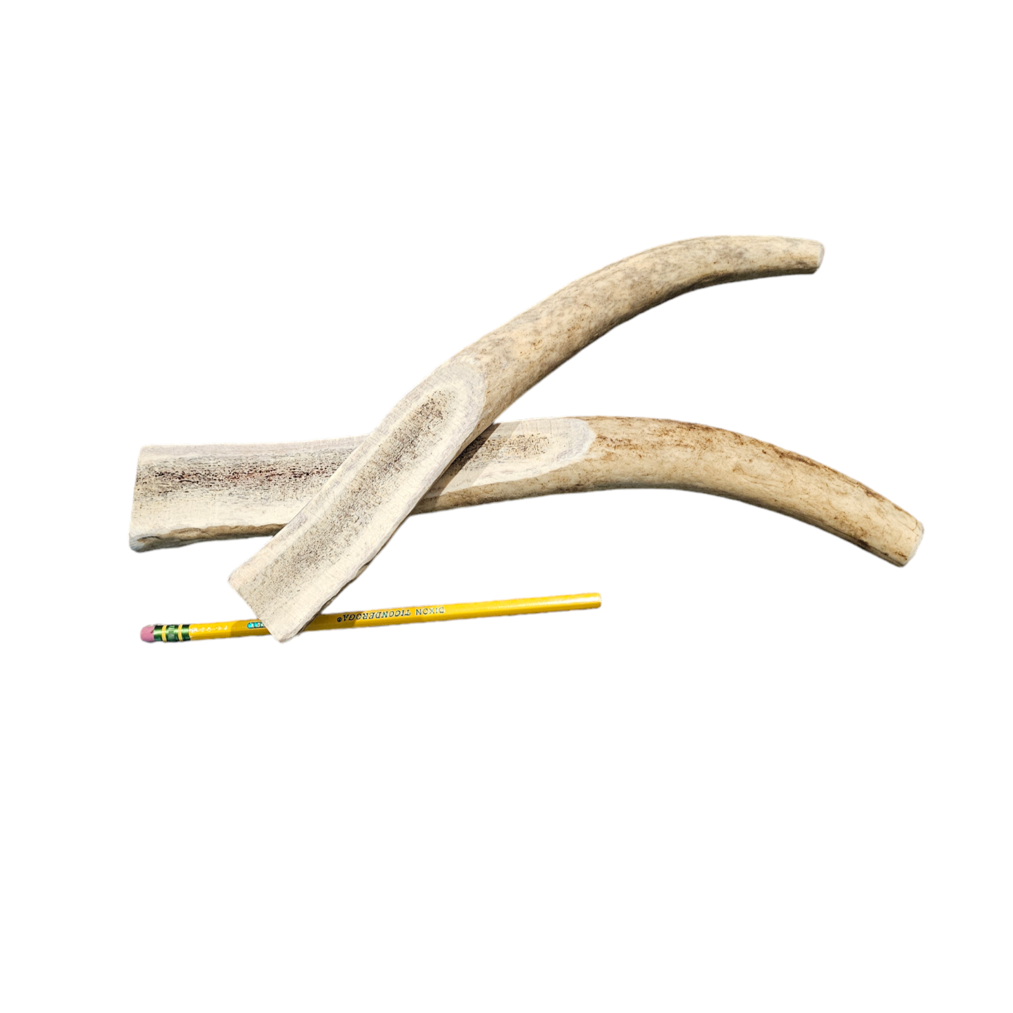 XL Partial Split Antler Dog Chew - K9 Comfort Downtown 