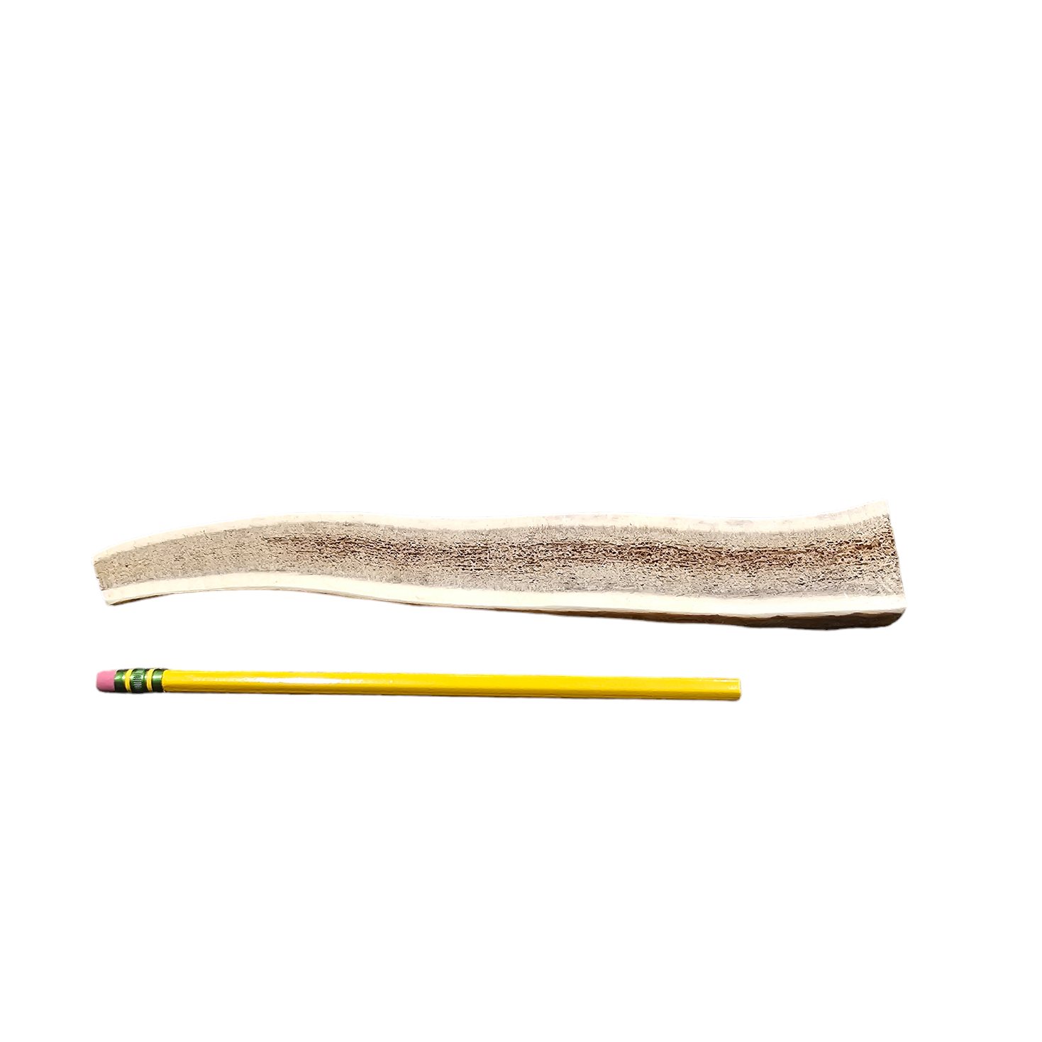 Small Split Antler Dog Chew - K9 Comfort Downtown 