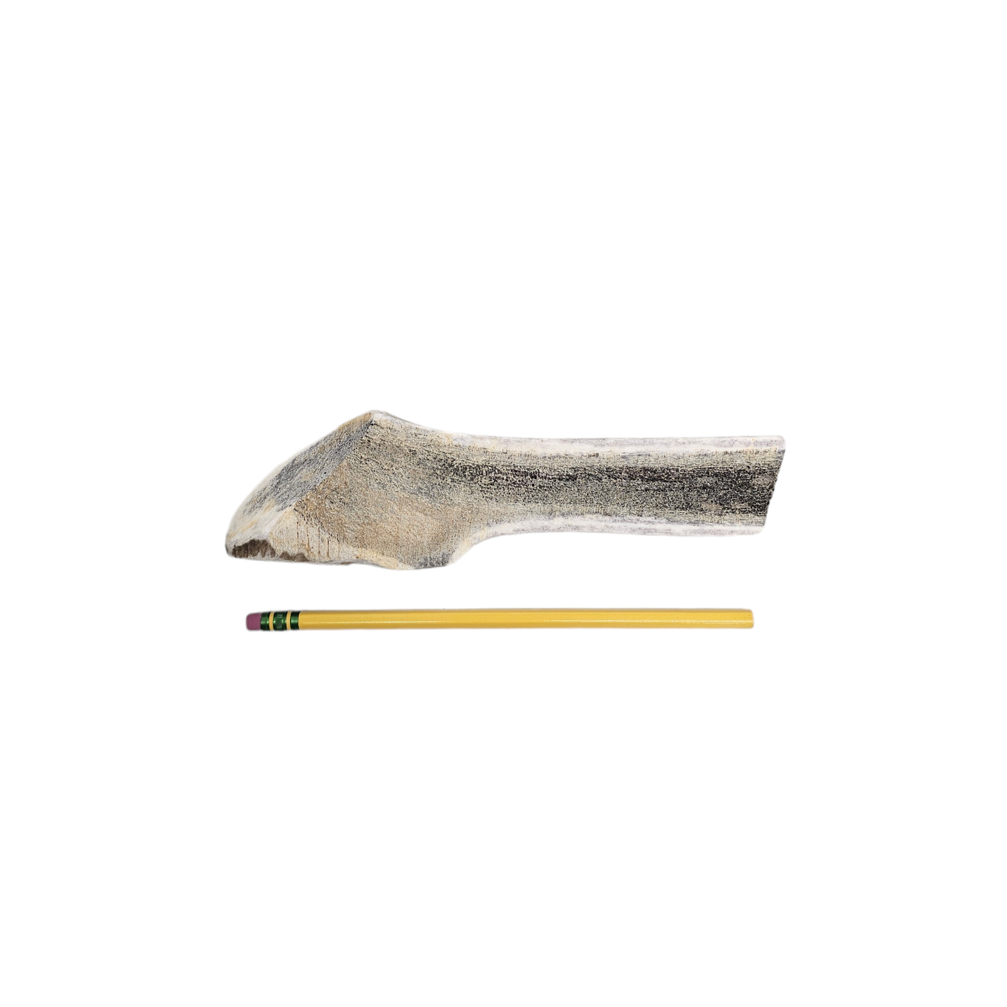 Medium Split Antler Dog Chew - K9 Comfort Downtown 