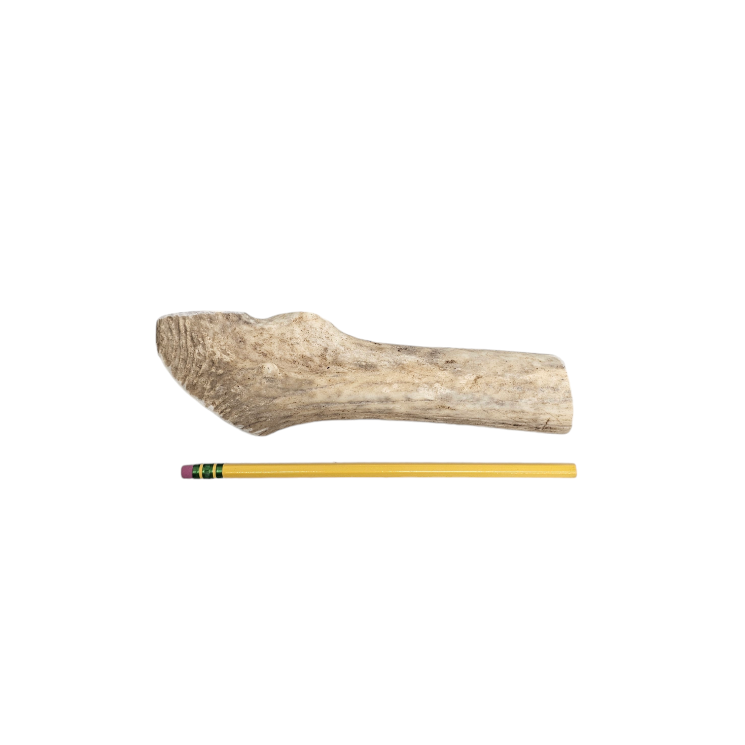 Medium Split Antler Dog Chew - K9 Comfort Downtown 