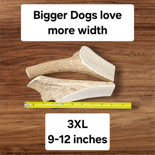 3XL Partial Split Antler Dog Chew