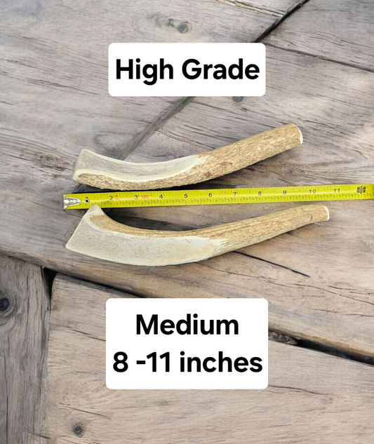 Medium Partial Split Antler Dog Chew