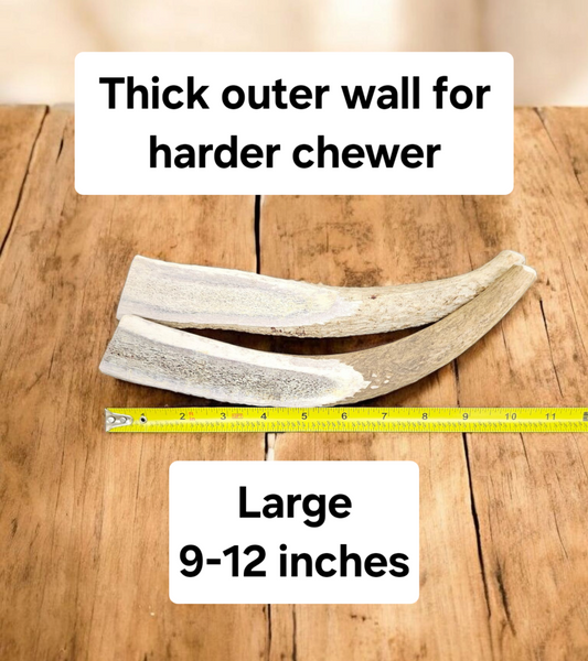 Large Partial Split Antler Dog Chew